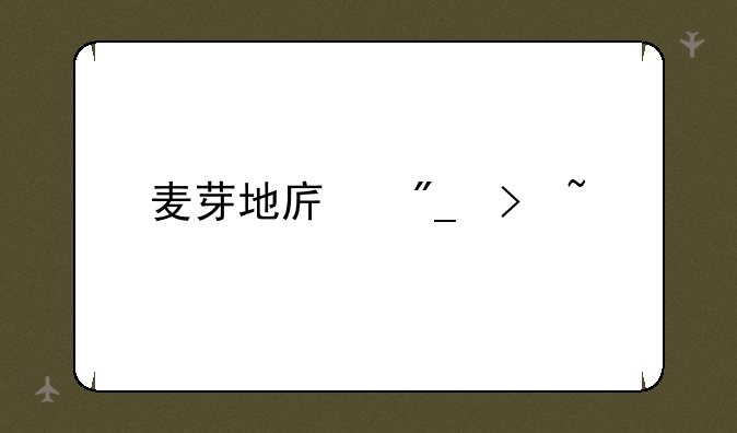 麦芽地序列号查询