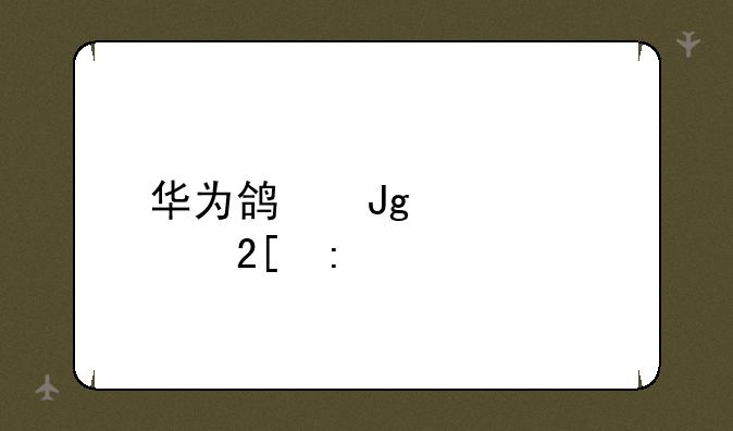 华为鸿蒙规模化推送