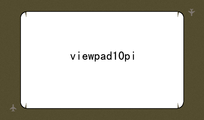 viewpad10pi