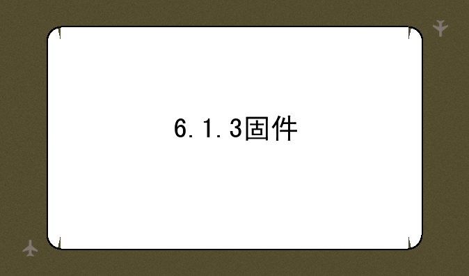 6.1.3固件