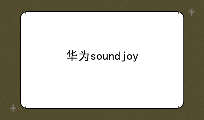 华为soundjoy